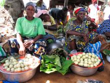 Benin - La Bottega dei Pippi, Via del Lastrone, 26