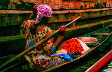 Benin - Macelleria Calanchi, Via Padre G.Antonelli 278