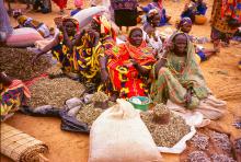 Burkina Faso - Vitium, Via Roma 8