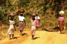 Malawi - Cofcommercio, viale Adua 128