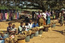 Malawi - Alimentari Marco e Federica, V. della Provvidenza 35