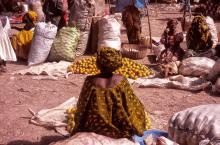Mali - Enotec,a Nati Stanchi Via Pietro Bozzi 7