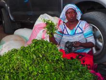 Senegal - Locanda del Capitano del popolo, Via di Stracceria 5/7